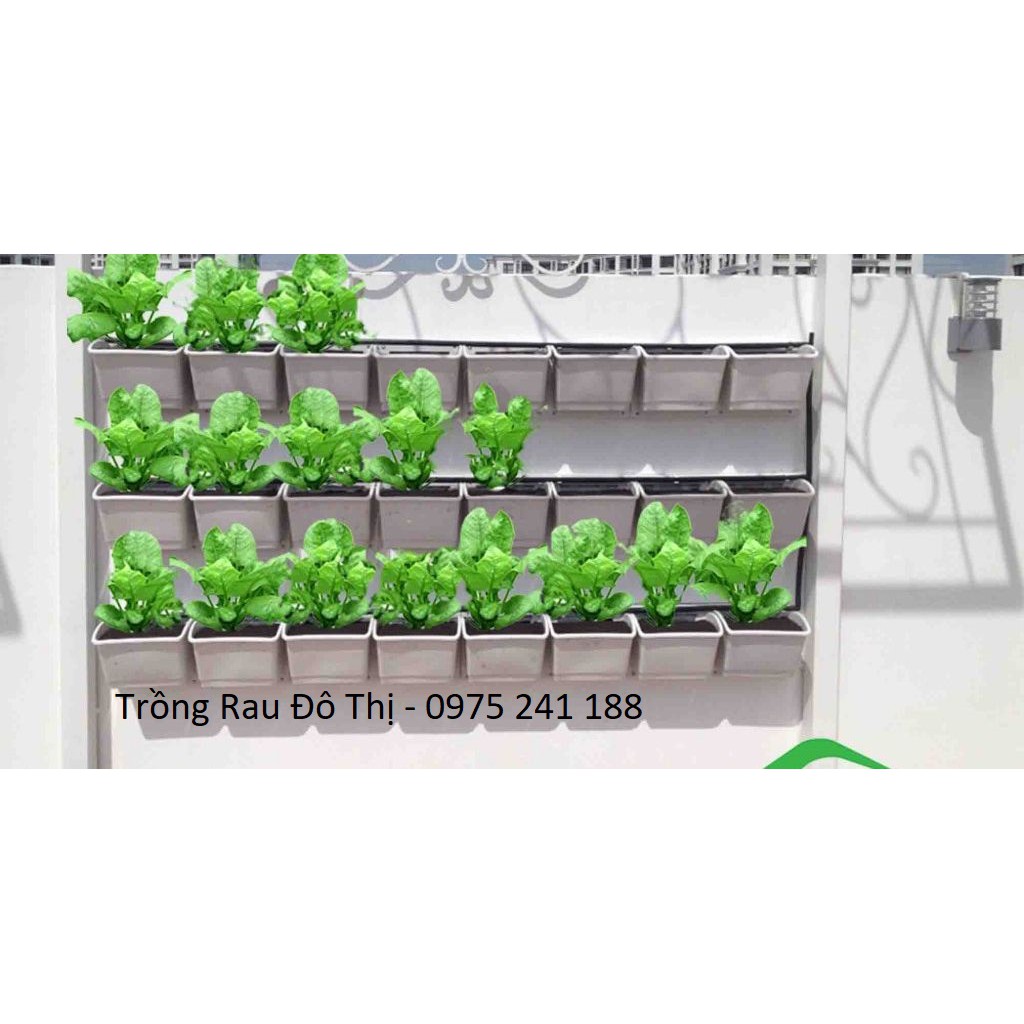 Combo 5 bộ chậu trồng cây, trồng rau, trồng hoa trên tường cỡ lớn, màu đen (5 đế + 10 chậu trồng)