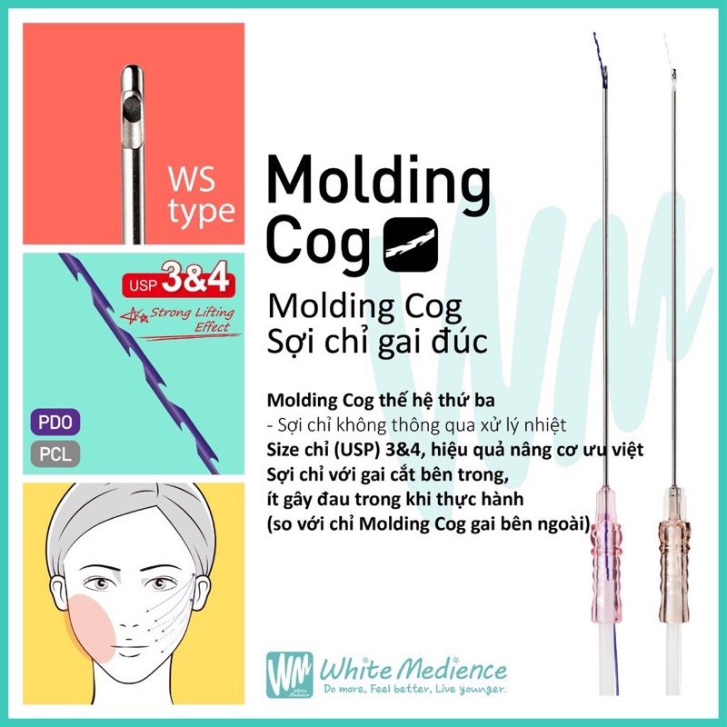 molding cog pcl - chỉ nâng cơ pcl loại tốt