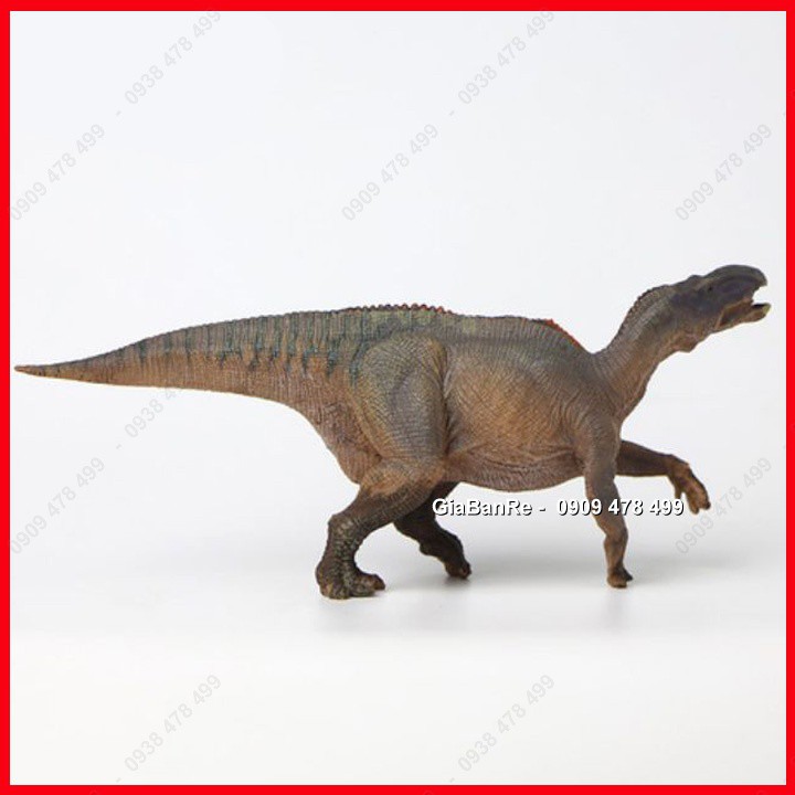 Mô Hình Khủng Long Ăn Cỏ Chân Chim Iguanodon - 7721.1