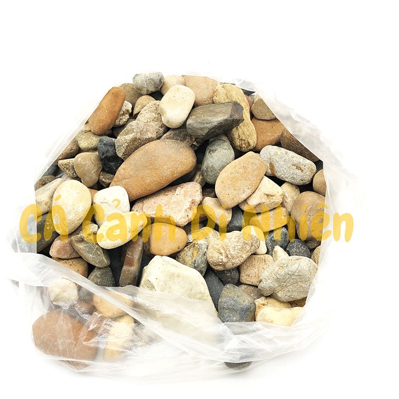 Sỏi đá cuội VÀNG 1KG nhiều màu viên trung trang trí tiểu cảnh hòn non bộ