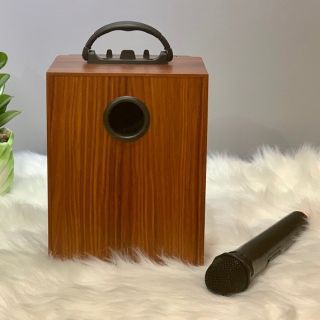Loa karaoke mini A060 K59 hát bao hay MIC dây chuyê sỉ