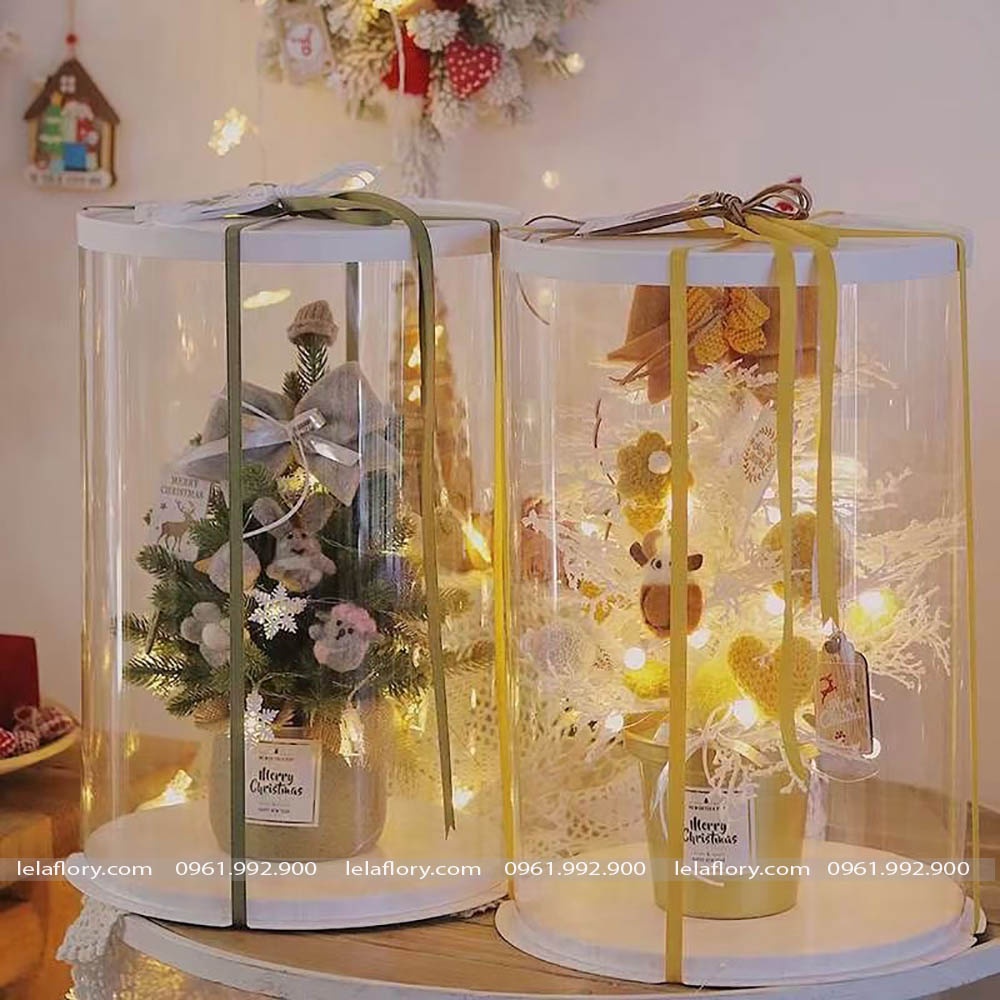Hộp Mika trụ tròn cắm hoa tươi, hoa sáp - THH0082