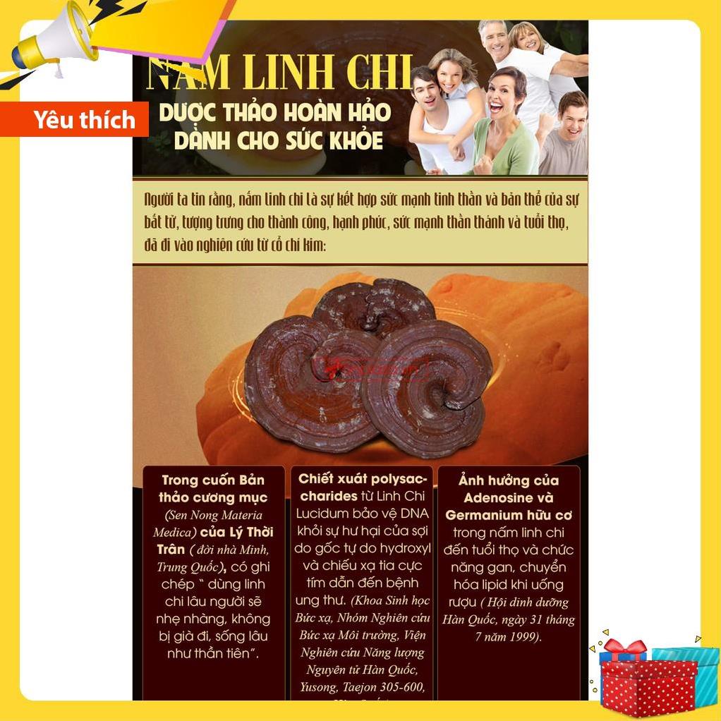 Nấm linh chi Đỏ dạng khay HÀN QUỐC [ Nấm Linh Chi _ Quà Tặng Cao Cấp ]