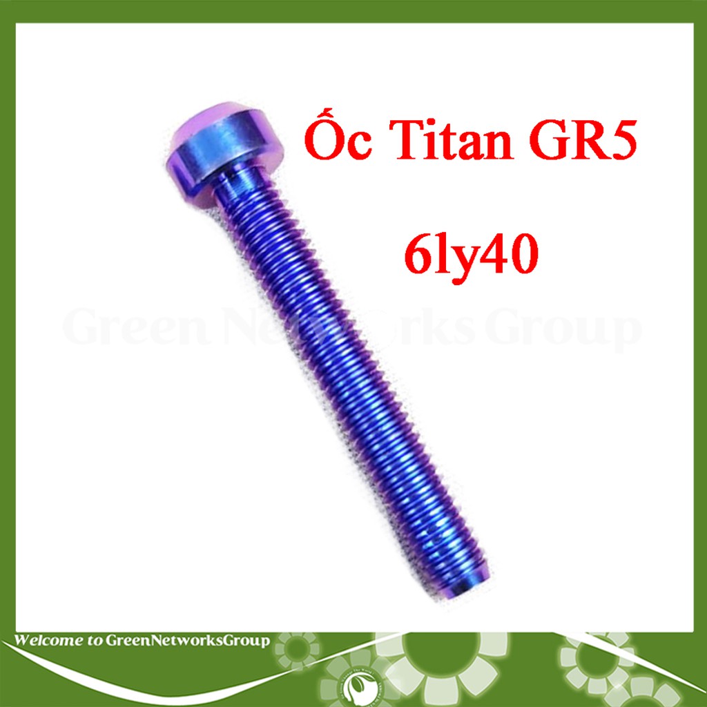 Ốc GR5 6 ly 40 Màu Xanh tím đầu dù bắt gù xe, lốc máy, cùm và nhiều vị trí thông dụng khác Greennetworks ( 1 Con )