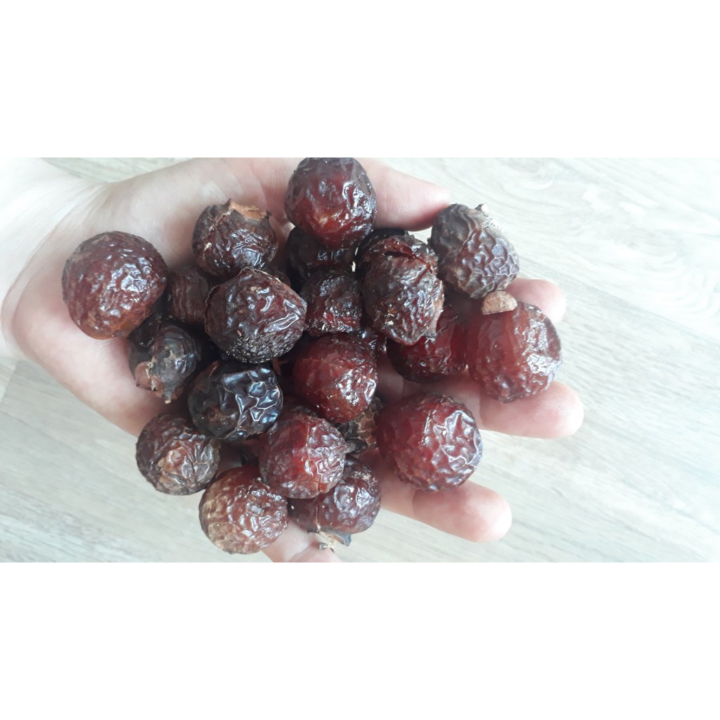 1kg bồ hòn tách hạt loại đẹp - tặng scoby làm kombucha | BigBuy360 - bigbuy360.vn