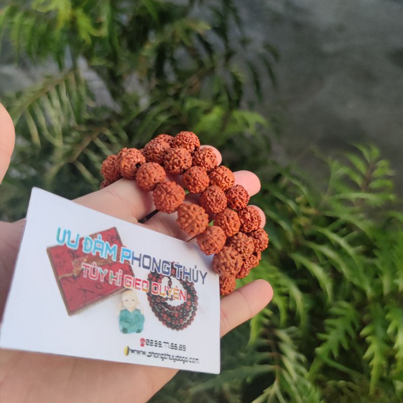 Chuỗi hạt bồ đề, chuỗi hạt phật nhãn, bồ đề kim cang, vòng tay phong thủy | BigBuy360 - bigbuy360.vn