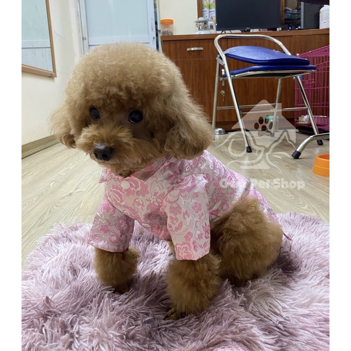 Áo dài Tết 🧧 Áo dài vải gấm cao cấp cho chó mèo