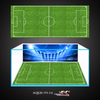 Tranh 3D dán bể cá mẫu sân bóng cực ấn tượng, có keo sẵn trên bề mặt, đa dạng kích thước