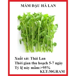30 gram hạt giống mầm rau đậu hà lan  KHUYẾN MẠI SHOP MỚI HẠ GIÁ SỈ