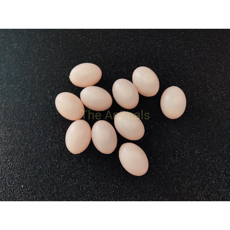 Trứng chim bồ câu giả Halosung Trứng chim phụ kiện lồng chim PK18