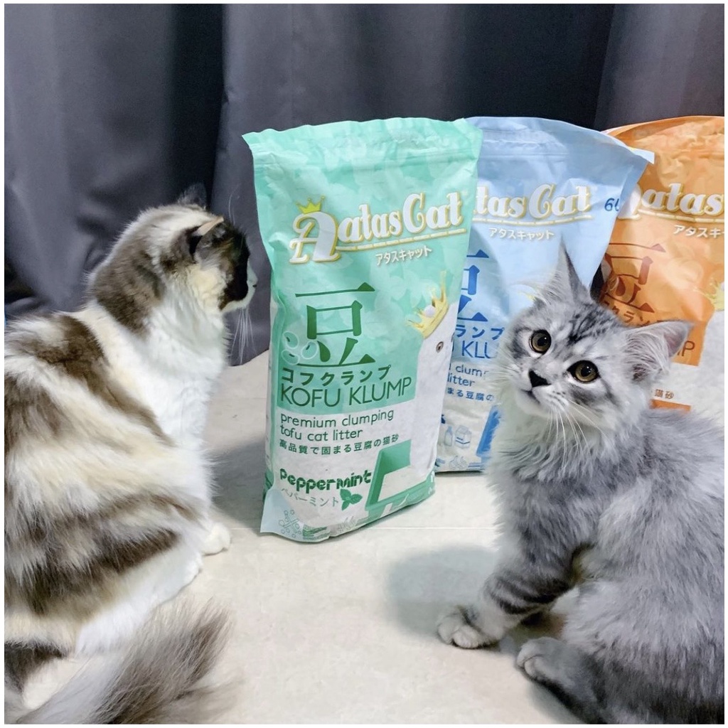 Cát vệ sịnh cho mèo TOFU AATAS 6L