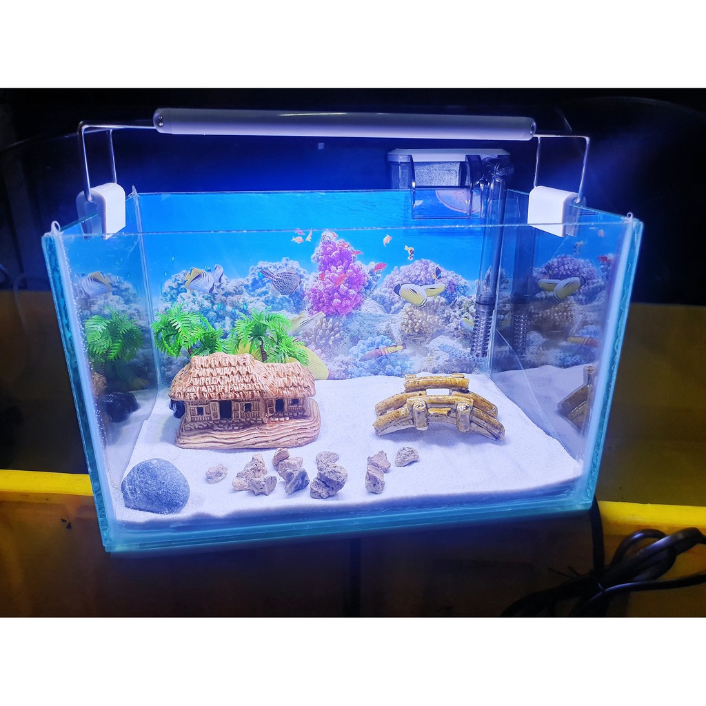 COMBO HỒ CÁ TRANG TRÍ SẴN 24X15X15CM 390KClick để phóng to  Bonsai Cá cảnh Nhật ToànChăm sóc thú cưngChăm sóc cá &amp; bể th