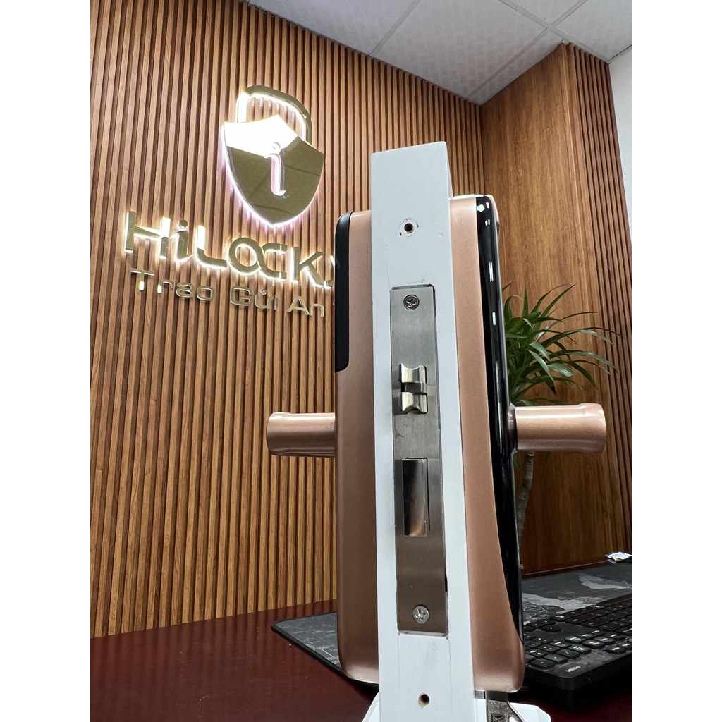 Khóa cửa vân tay thông minh HL X6 mở khóa vân tay, thẻ từ, chìa cơ, mật khẩu, cảm ứng. app wifi điện thoại