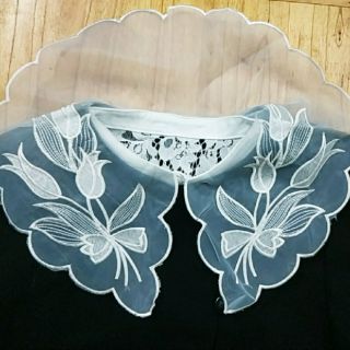 Cổ áo sơ mi rời thiếu nữ