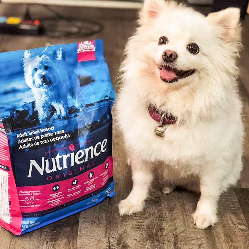 Thức Ăn Cho Chó Pomeranian Nutrience Infusion Bao 2,27kg - Thịt Gà, Rau Củ Quả, Trái Cây