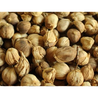 hạt bạch đậu khấu chất lượng cao