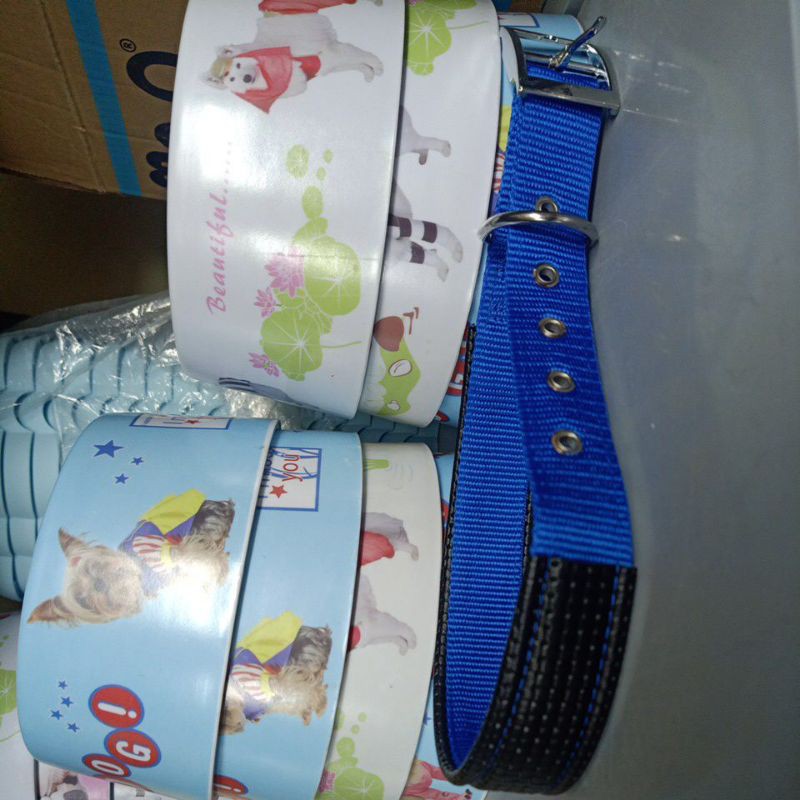 Combo vòng cổ cho thú cưng
