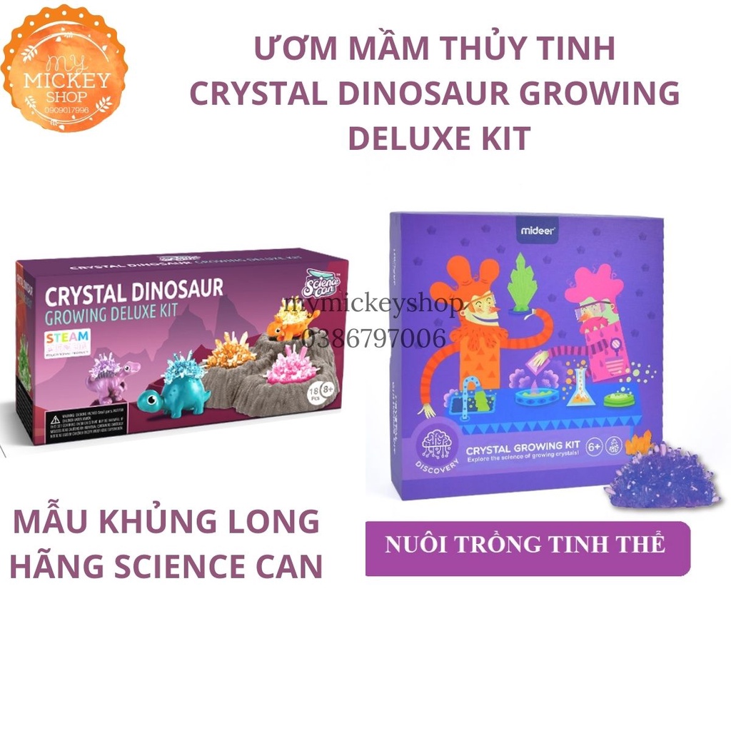 Mideer Crystal Growing Kit - Bộ trò chơi khoa học Nuôi Trồng Tinh thể và bộ Science Can 3 chú Khủng Long Mymickeyshop