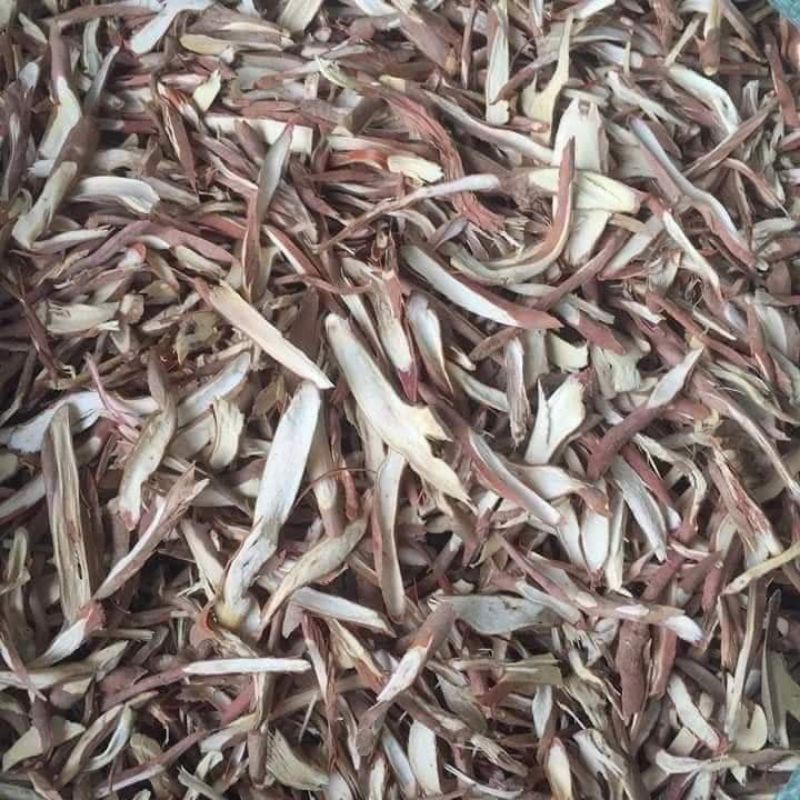 Sâm cau khô Kon Tum 1kg tăng cường quý ông
