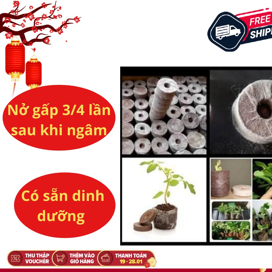 [GIÁ SỐC] 50/100 Viên Nén Nảy Mầm/ Viên Nén Xơ Dừa