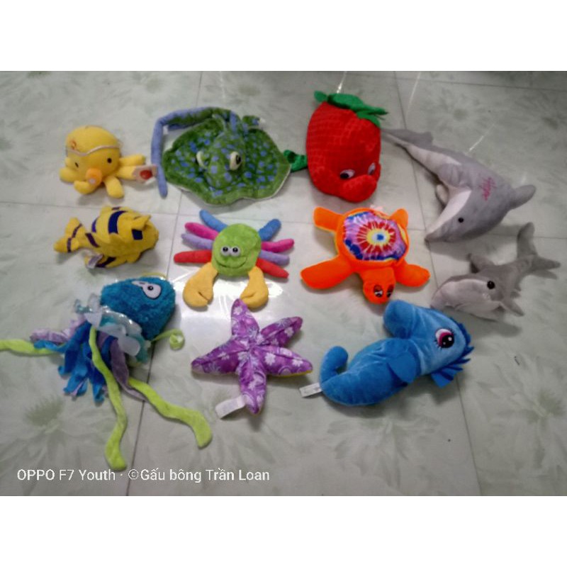 Gấu bông con vật biển