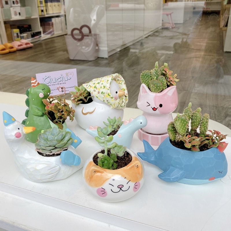 Chậu cây mini để bàn trồng sen đá xương rồng - Chậu đất sét thiết kế - Ảnh thật shop chụp