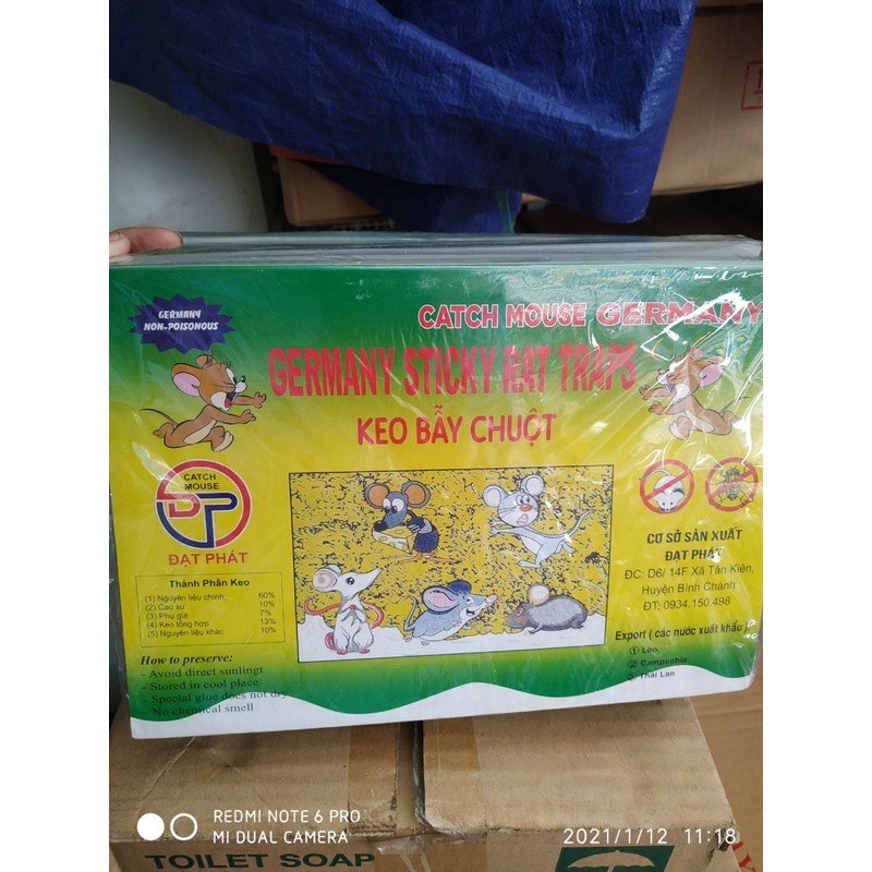 Keo dính chuột/keo bẫy chuột (1 lố 10 cái)