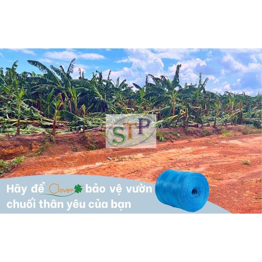 2 cuộn Sợi cột chuối chằng chuối buộc chuối 4kg SOTIPHA neo cây dây cột chuối chống đỡ cây chuối lúc cây trổ buồn