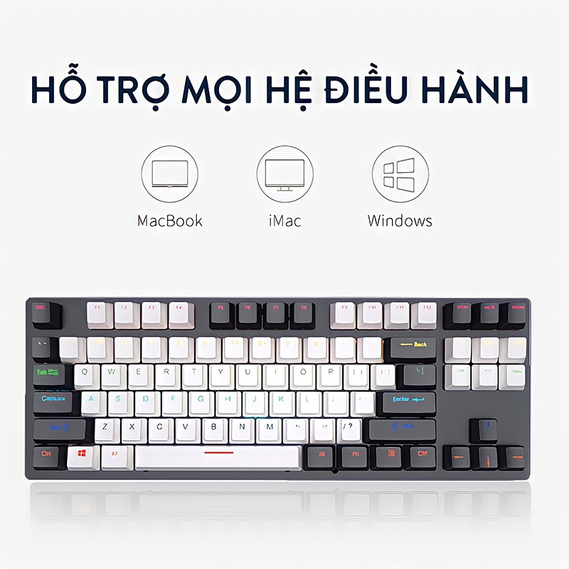 Bàn Phím Cơ Viettech Bàn phím Cơ TKL Gaming Chơi Game Full LED RGB K550 Đa Chế Độ Hiêu Ứng