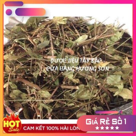 CHÈ VẰNG KHÔ - LỢI SỮA, GIẢM CÂM, KÍCH THÍCH TIÊU HÓA (1kg)