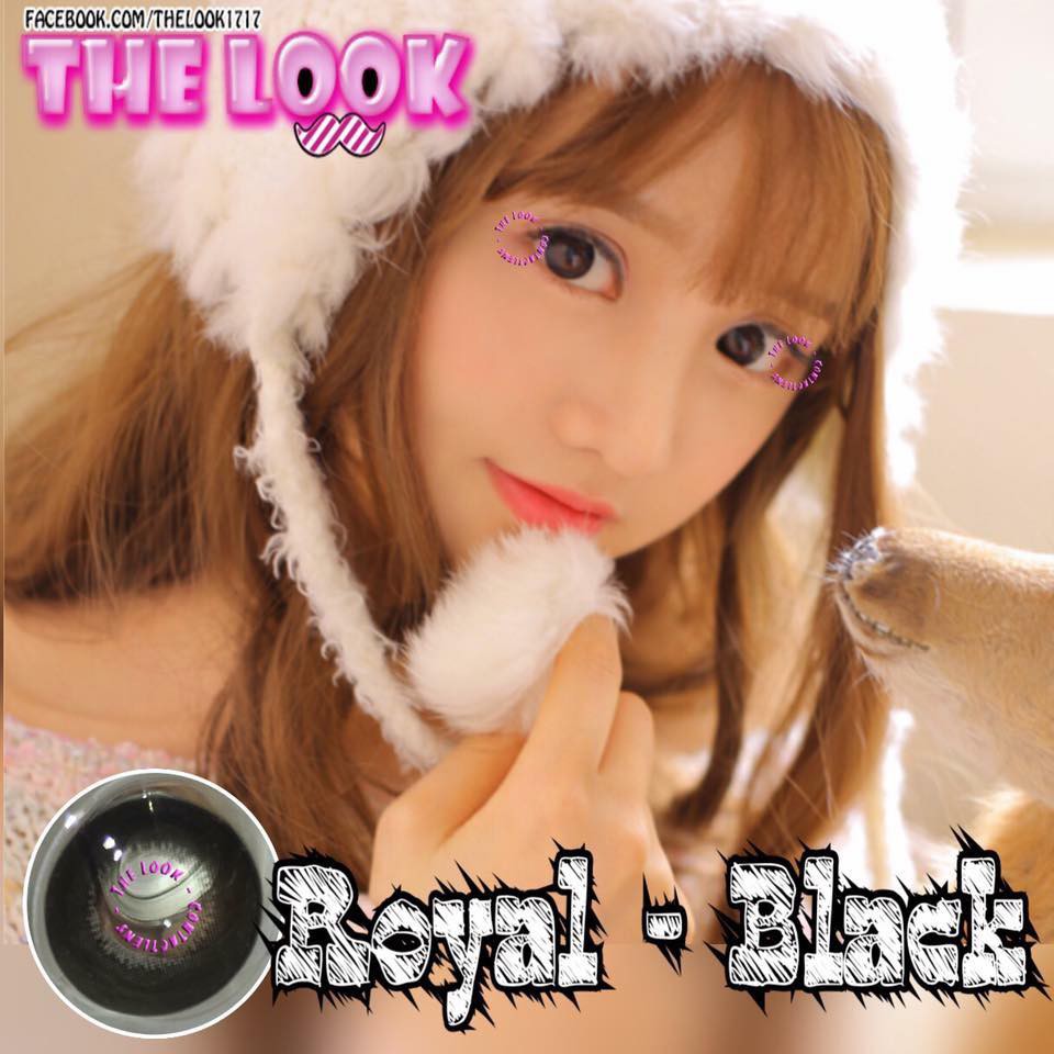 Lens Kính Sát Tròng Royal Black/ CHOCO