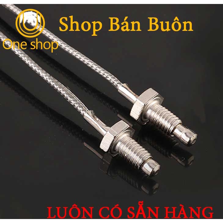 Đầu Dò Nhiệt Độ WRX-31 M6
