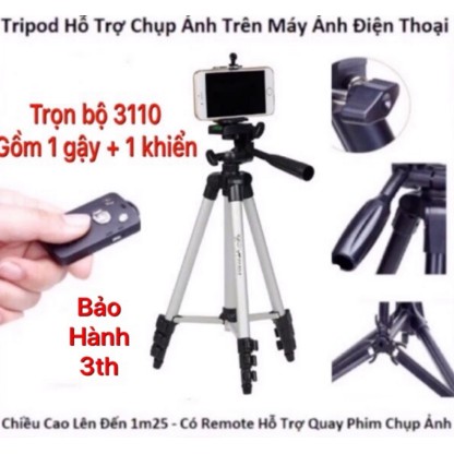 Gậy Tripod 3110