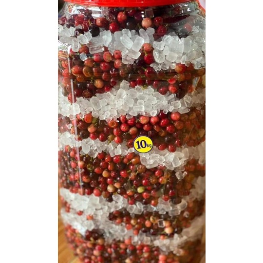 Cây Giống chòi mòi ,cây ghép
