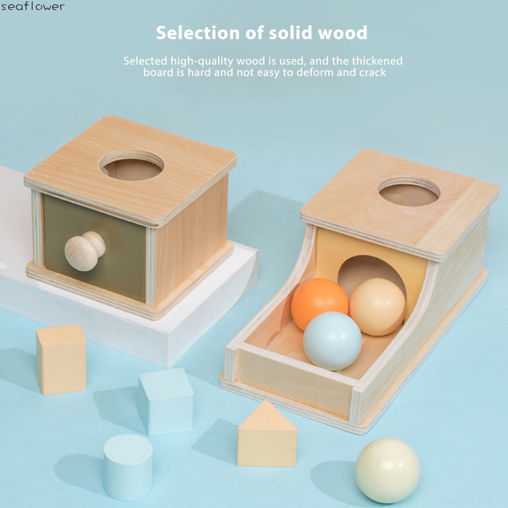 Đồ Chơi Hộp Gỗ Đựng Tiền Xu Giáo Dục Nhận Thức Cho Trẻ Em