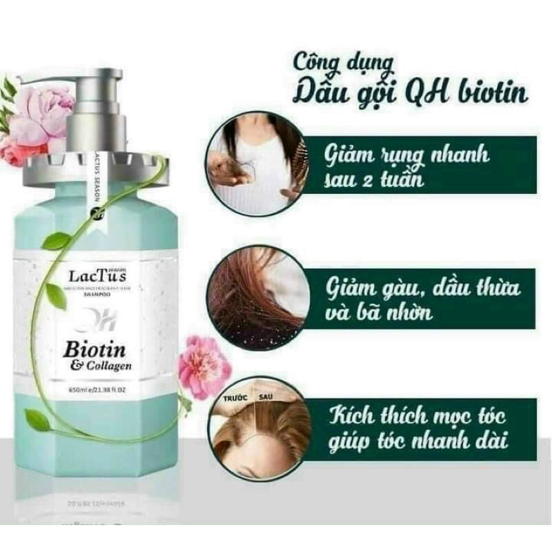 Dầu Gội Ngăn Ngừa Gàu Giảm Rụng Tóc Biotin Lactus Season QH