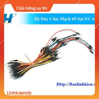 Bộ dây cắm mạch 65 sợi yc-65