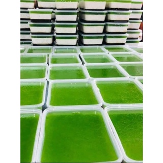 50 cái hộp CN nhựa microwave đen trong