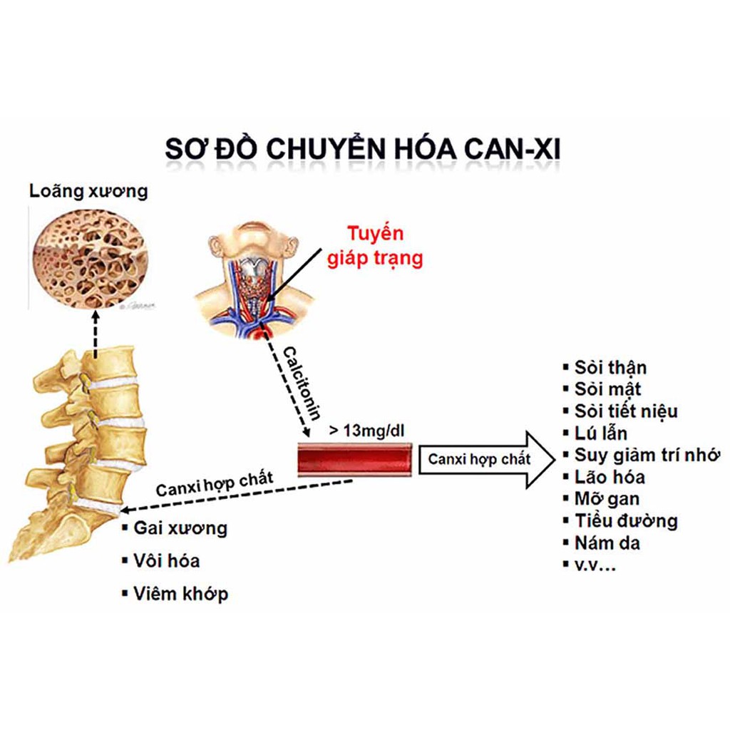 Nano Canxi AnphaKids Growth [Viện Hàn Lâm]