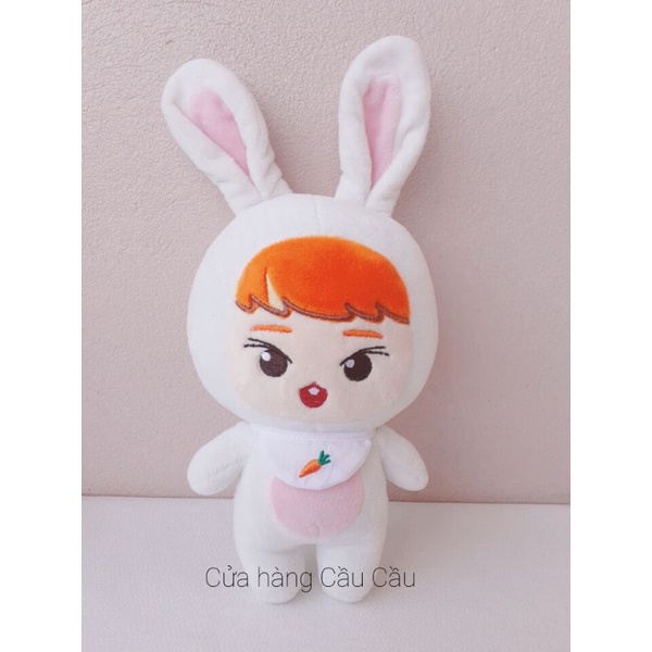 Gấu bông doll NCT Doyoung ddoydoyz bro rabbit có sẵn 54