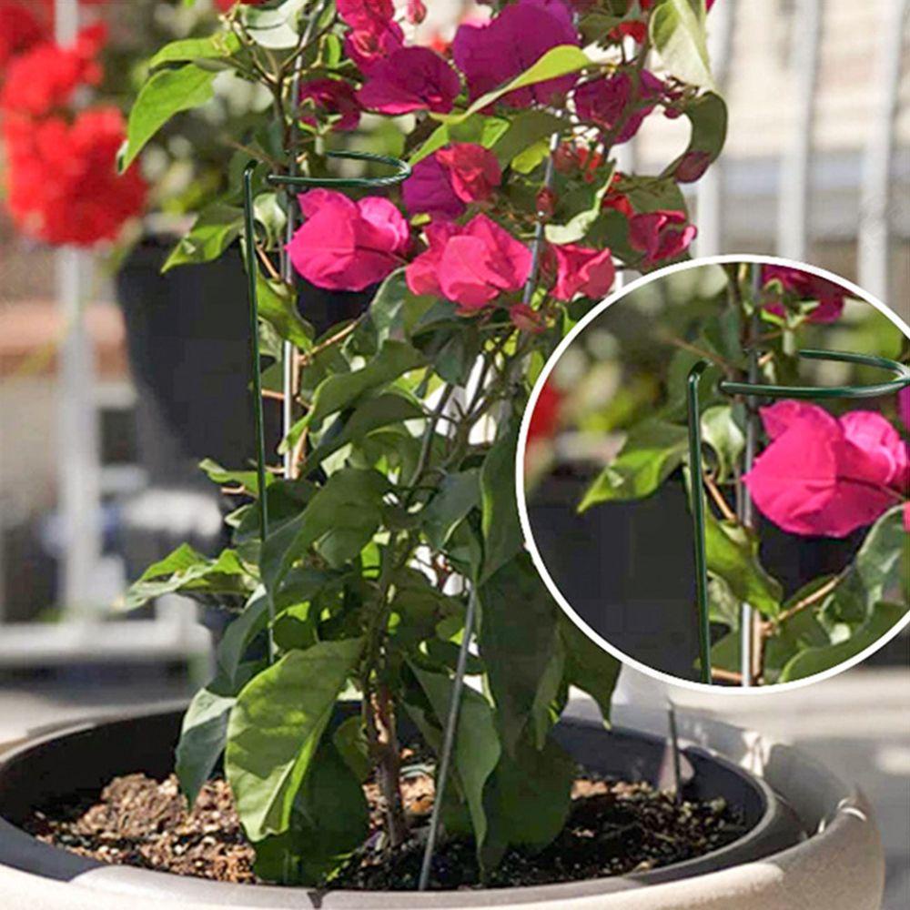 Set 5 Giá Đỡ Cây Dây Leo Dùng Trang Trí Sân Vườn Tiện Dụng