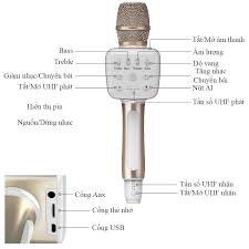 Micro karaoke kèm loa Bluetooth Tosing V2 - Chính hãng BH 1 năm