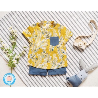 Bộ đũi bé trai Hàng thiết kế Ahimum