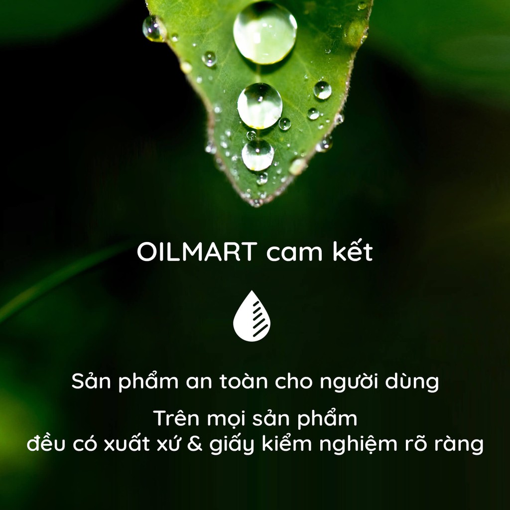 Máy Khuếch Tán Tinh Dầu Oilmart Công Suất Lớn Hồ Điệp Đế Tròn 25W 2000ml