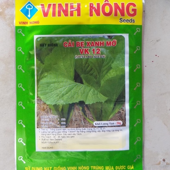 Hạt giống cải bẹ xanh mỡ(20g)