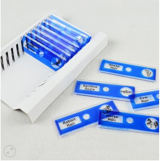 Bộ 2 hộp tiêu bản sẵn cho kính hiển vi