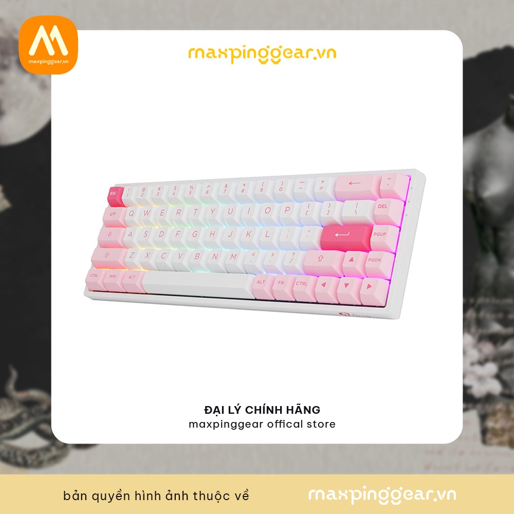Bàn phím cơ AKKO 3068B Multi-modes Prunus Lannesiana (Bluetooth 5.0 / Wireless 2.4Ghz / Hotswap / Foam tiêu âm / AKKO CS