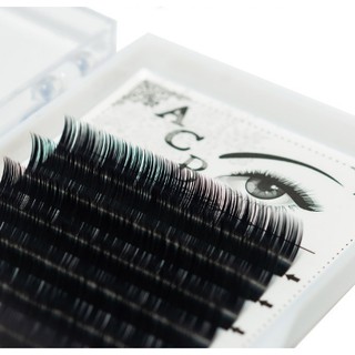  Mi khay ACB độ cong D_dụng cụ nối mi_THÚY HÀ