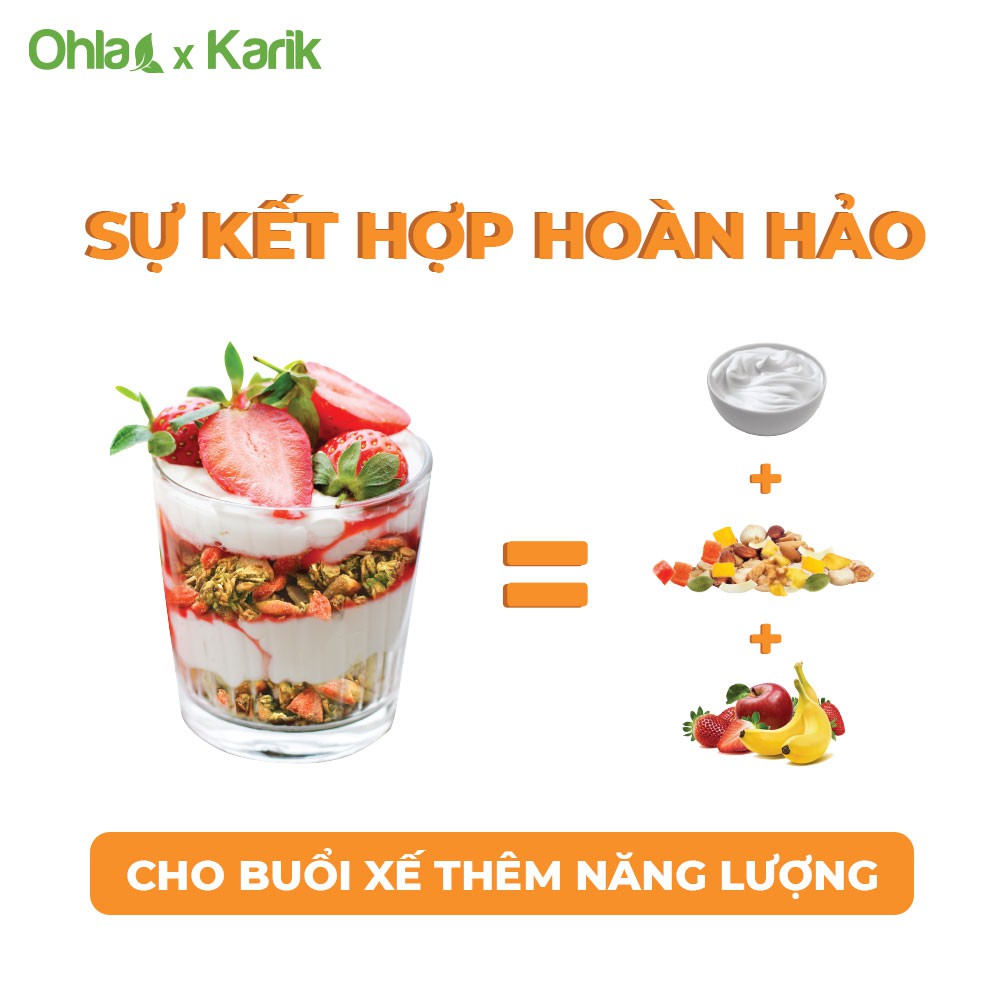 [Mã LTP50 giảm 50000 đơn 150000] Trái cây sấy dẻo và hạt dinh dưỡng Oatmeal Karik x Ohla 40g và 100g