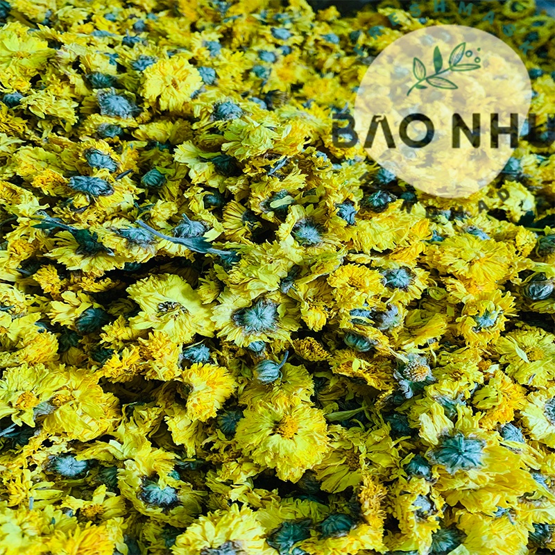 Trà Hoàng Cúc Vàng thanh nhiệt, đẹp da